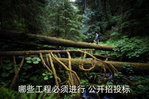 哪些工程必須進(jìn)行 公開招投標(biāo)