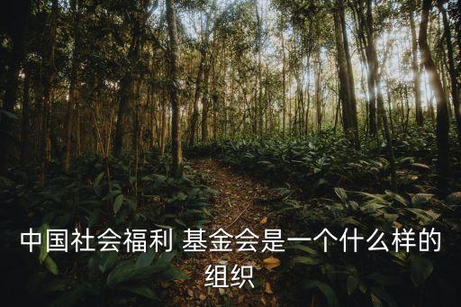 基金會(huì)是干什么的,晨曦耕耘基金會(huì)是干什么的