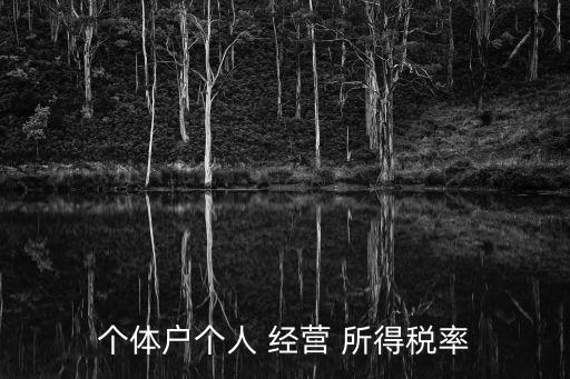 經(jīng)營所得稅率,個人獨資企業(yè)的個人經(jīng)營所得稅率