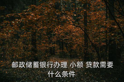 小額郵政貸款,中國郵政貸款平臺