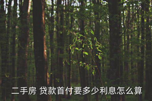  二手房 貸款首付要多少利息怎么算