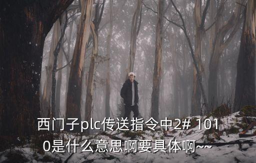 1010什么意思,男生給女生發(fā)1010什么意思