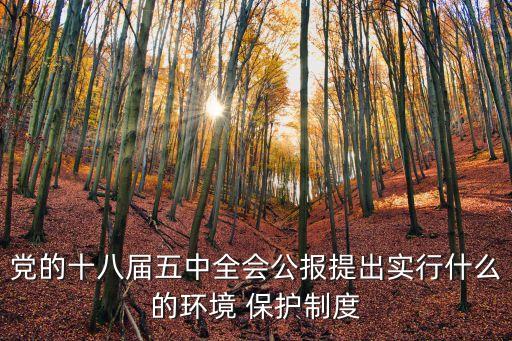 黨的十八屆五中全會(huì)公報(bào)提出實(shí)行什么的環(huán)境 保護(hù)制度