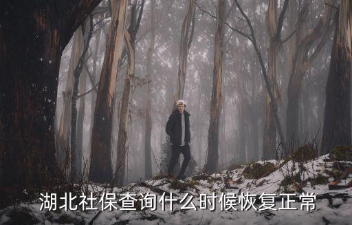 湖北人社局