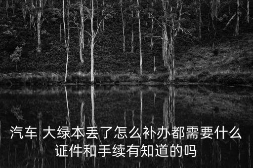 大綠本是什么,摩托車(chē)大綠本是什么
