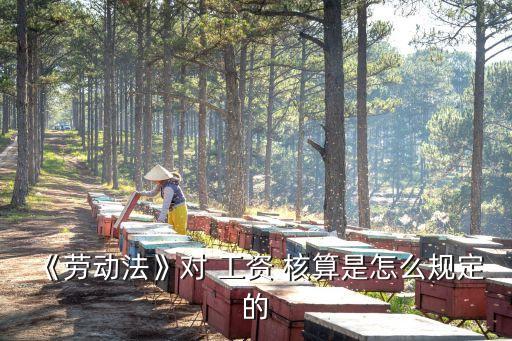 《勞動法》對 工資 核算是怎么規(guī)定的