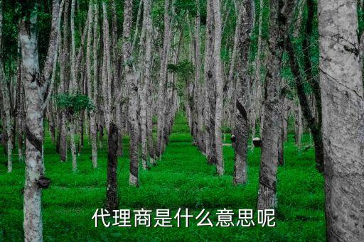 代理商