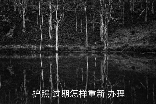  護照 過期怎樣重新 辦理