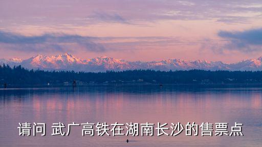 請(qǐng)問(wèn) 武廣高鐵在湖南長(zhǎng)沙的售票點(diǎn)