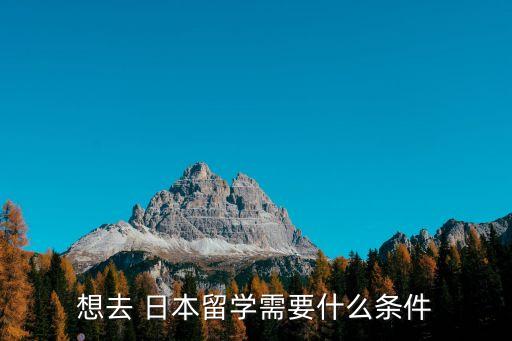 日本大學(xué)申請要求,日本留學(xué)一年費用是多少錢