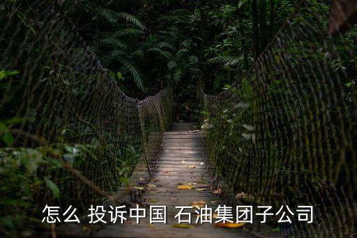 怎么 投訴中國(guó) 石油集團(tuán)子公司