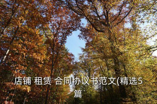 商鋪?zhàn)赓U合同標(biāo)準(zhǔn)版,個(gè)人商鋪?zhàn)赓U合同標(biāo)準(zhǔn)版