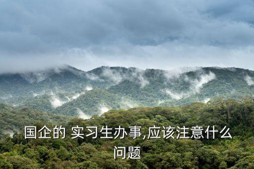 國企實習,國企試用期被辭退概率