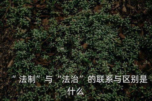 法制
