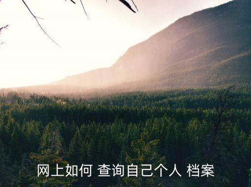 個(gè)人檔案怎么查詢,自己的個(gè)人檔案怎么查詢