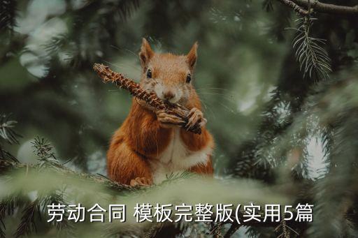  勞動合同 模板完整版(實用5篇