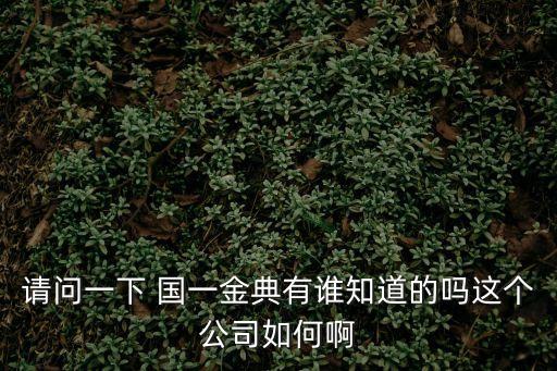 請(qǐng)問一下 國一金典有誰知道的嗎這個(gè)公司如何啊