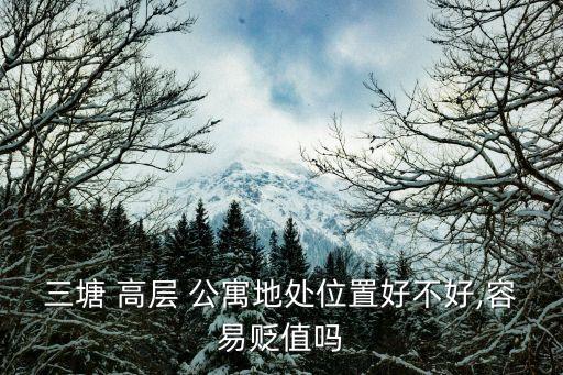 三塘 高層 公寓地處位置好不好,容易貶值嗎