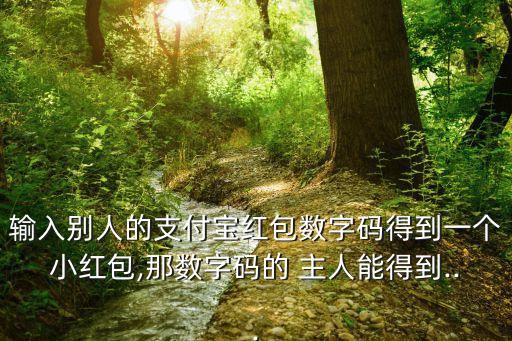 碼主人