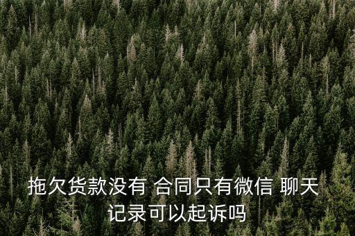 無合同有聊天記錄商業(yè)糾紛