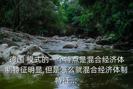  德國 模式的一個特點(diǎn)是混合經(jīng)濟(jì)體制特征明顯,但是怎么就混合經(jīng)濟(jì)體制特征...