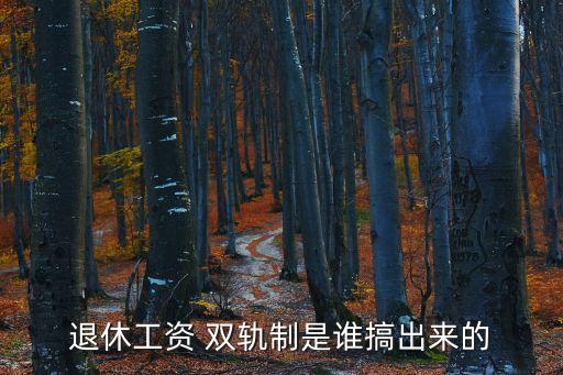養(yǎng)老金雙軌制,何時(shí)取消養(yǎng)老金雙軌制