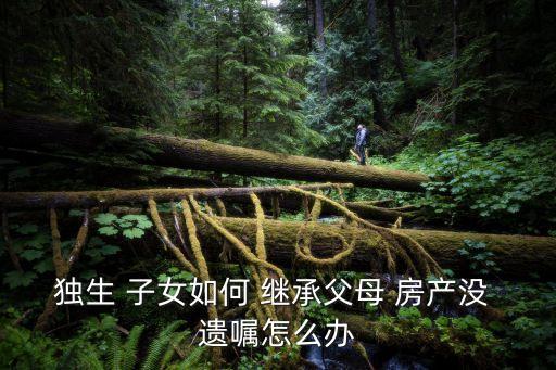 沒有遺囑的房產(chǎn)子女怎樣繼承,如何立遺囑繼承房產(chǎn)給子女