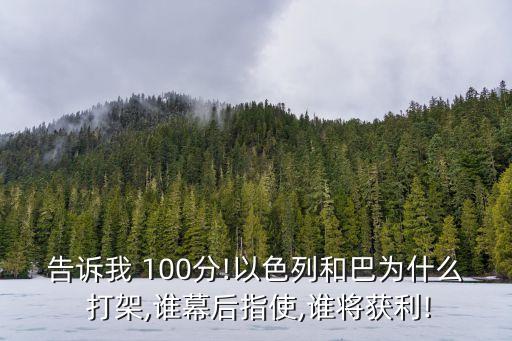 議會(huì)打架