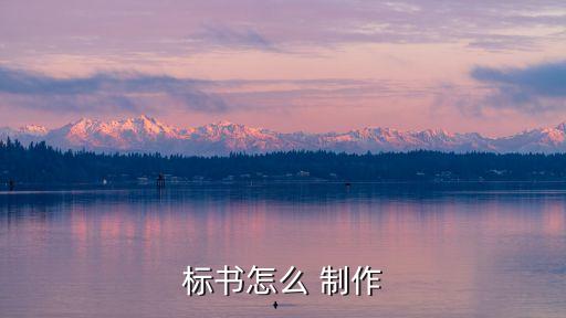 投標(biāo)文件制作,國家能源招標(biāo)網(wǎng)投標(biāo)文件制作