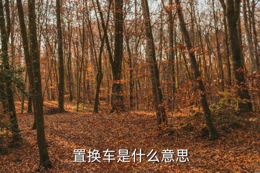 置換車