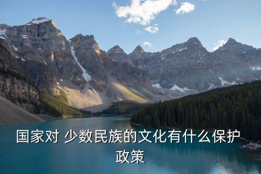少數(shù)民族政策,第一個統(tǒng)一全國的少數(shù)民族政策