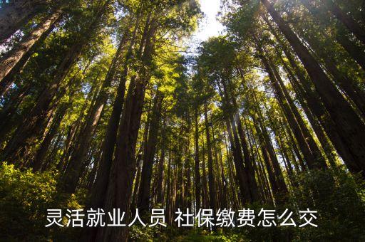 靈活就業(yè)人員 社保繳費(fèi)怎么交
