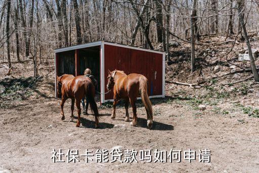 社保貸