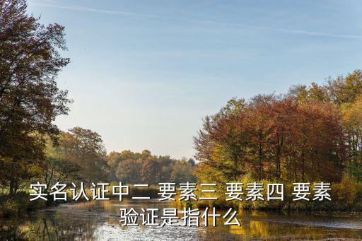 實(shí)名認(rèn)證中二 要素三 要素四 要素驗(yàn)證是指什么