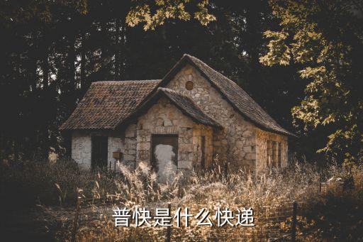  普快是什么快遞