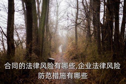 企業(yè)合同的法律風(fēng)險有哪些,企業(yè)法律風(fēng)險防范措施有哪些
