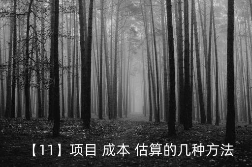 【11】項目 成本 估算的幾種方法