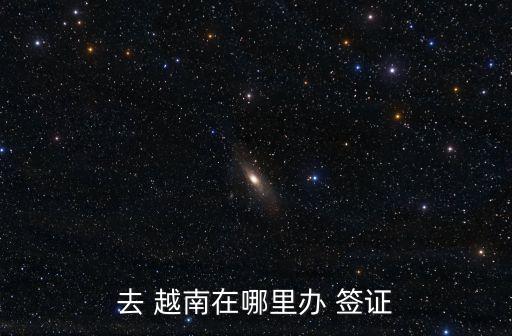 去 越南在哪里辦 簽證