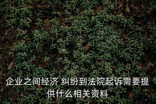 經(jīng)濟糾紛起訴狀模板復(fù)印店里有嗎,戀愛分手經(jīng)濟糾紛起訴狀模板