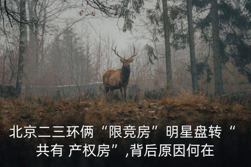 海淀共有產(chǎn)權(quán)房