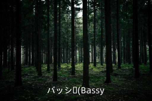 バッシー(Bassy