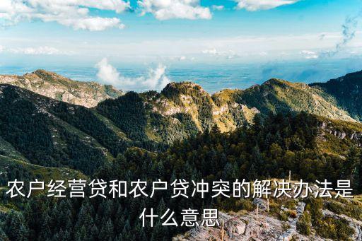 農(nóng)戶經(jīng)營貸和農(nóng)戶貸沖突的解決辦法是什么意思