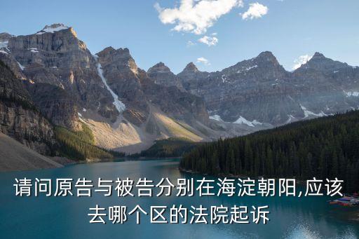 朝陽(yáng)區(qū)民事訴訟在哪里立案,怎么直接從網(wǎng)上起訴