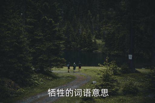  犧牲的詞語(yǔ)意思