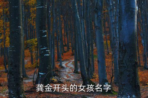 金琨,智能控制劉金琨