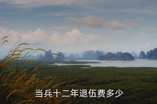 當(dāng)兵12年
