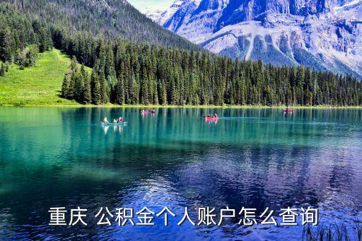  重慶 公積金個人賬戶怎么查詢