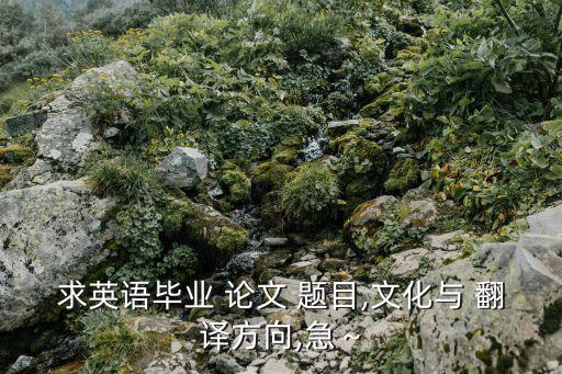 求英語畢業(yè) 論文 題目,文化與 翻譯方向,急～