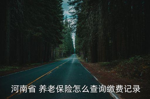 河南省養(yǎng)老保險