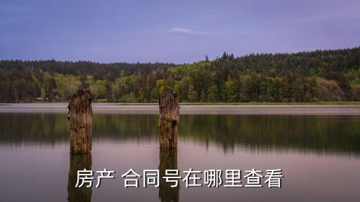 房產(chǎn) 合同號(hào)在哪里查看